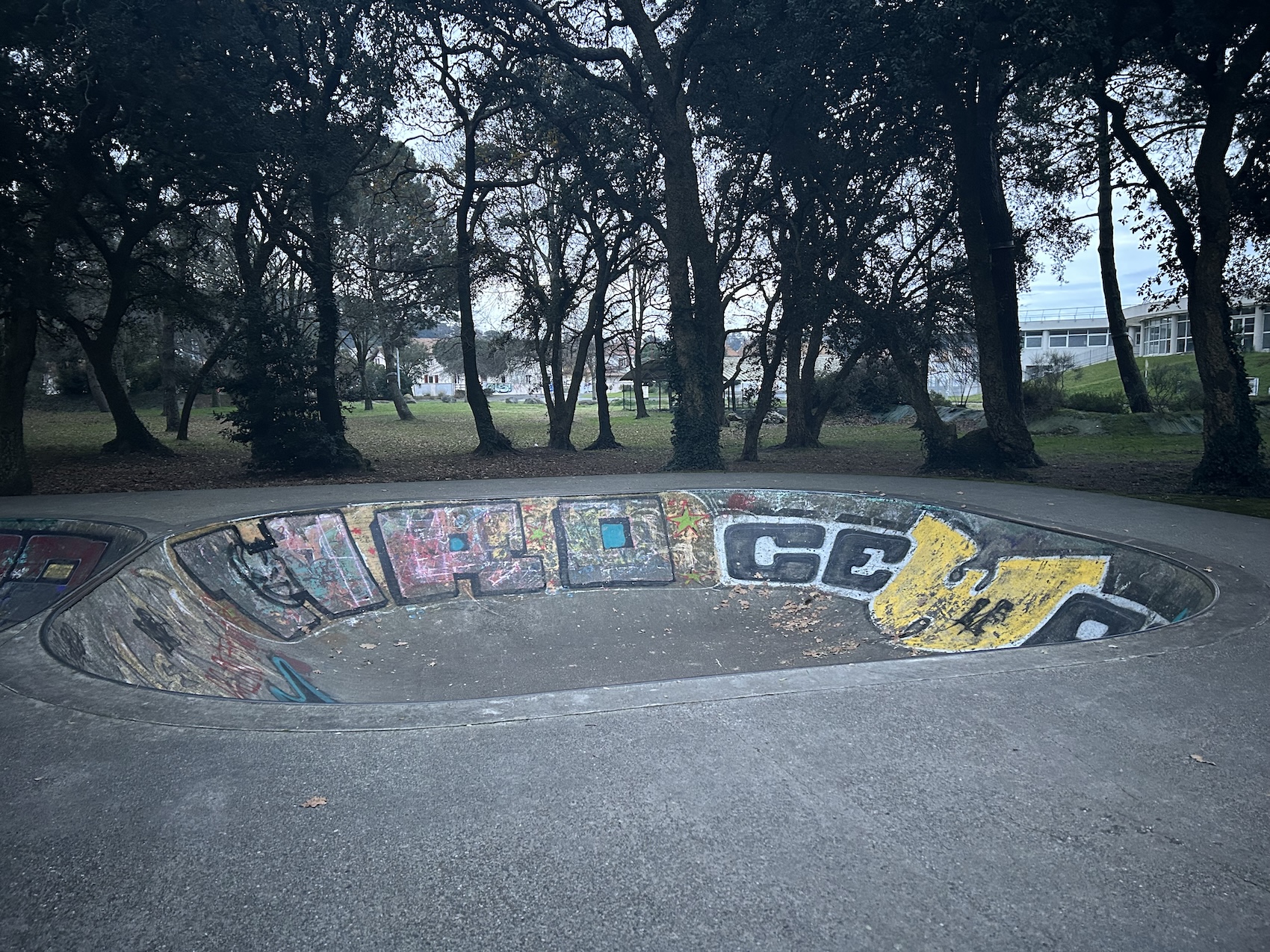 Tarnos skatepark